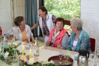 MTVGA_50 Jahre Gmnastik_0492_2015-06-07
